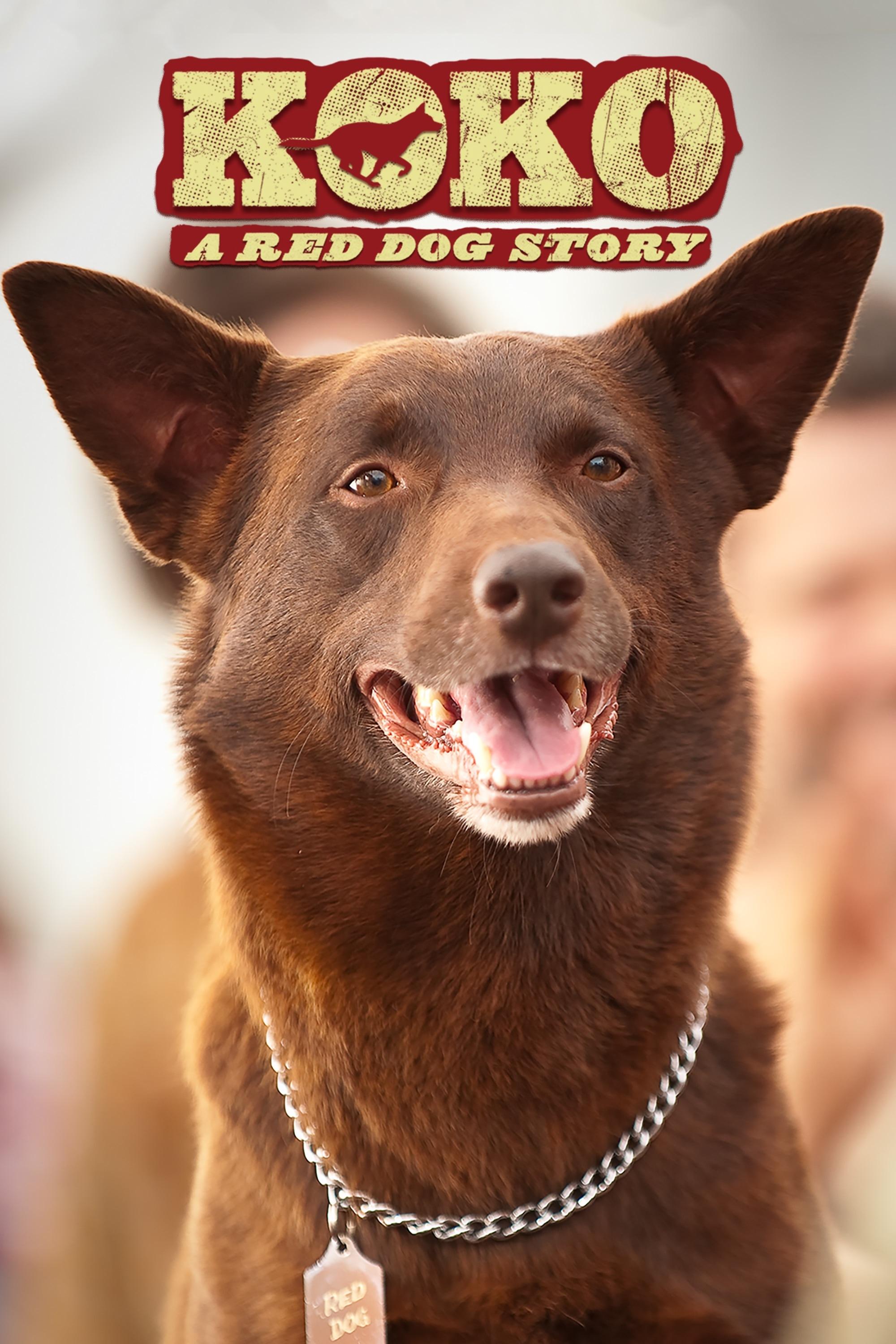 Постер Koko: A Red Dog Story